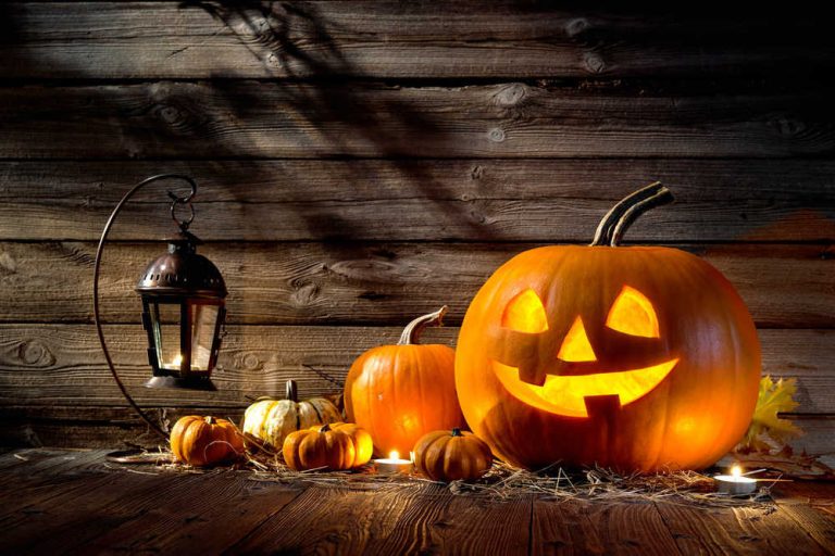Halloween, una festividad para la que todas las instituciones y entidades tienen que colaborar