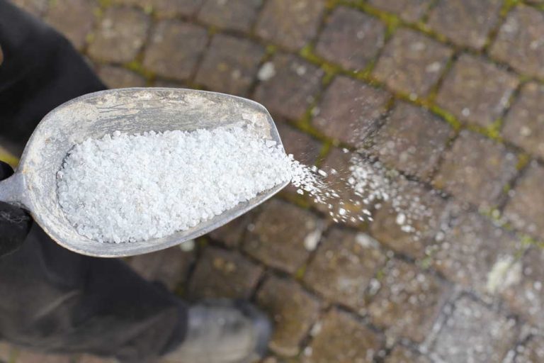 La venta de sal es básica para habilitar carreteras en temporales de nieve