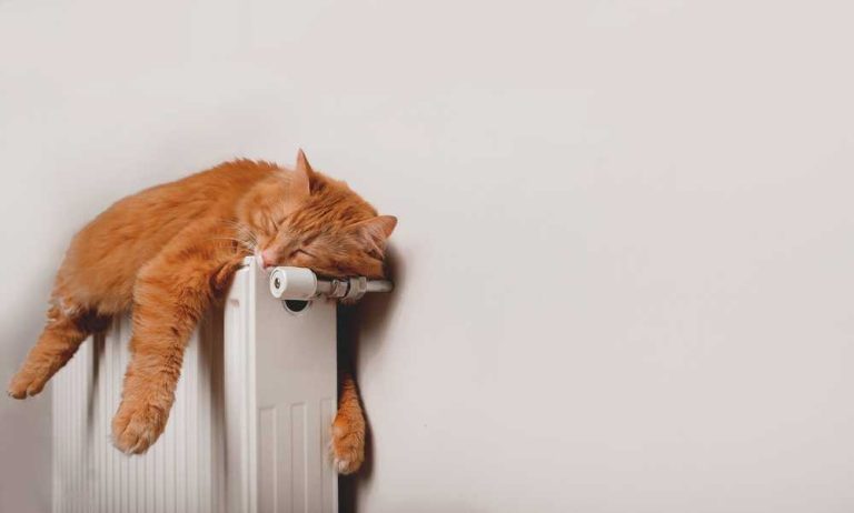 Cómo elegir la calefacción adecuada para tu hogar