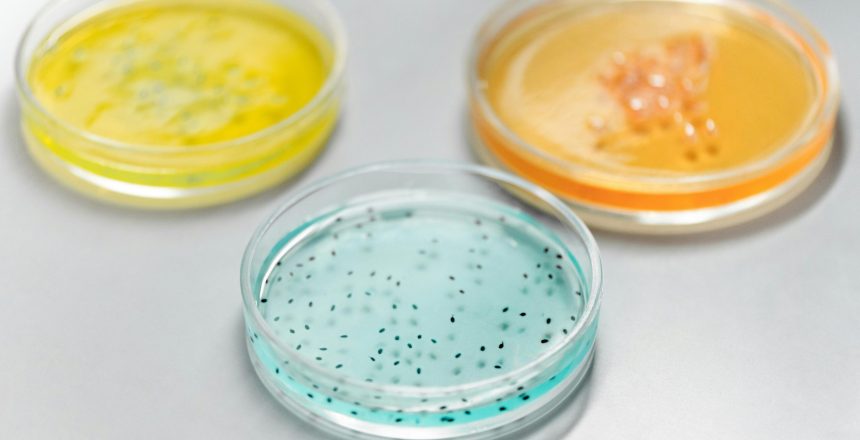 pexels-edward-jenner-4033023