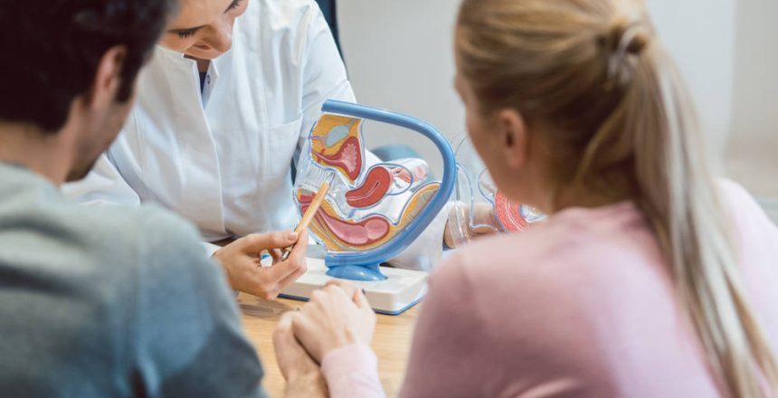 shutterstock_1146772340(FILEminimizer)