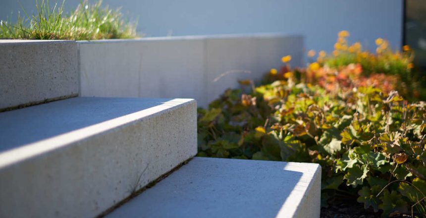 shutterstock_1202079811(FILEminimizer)