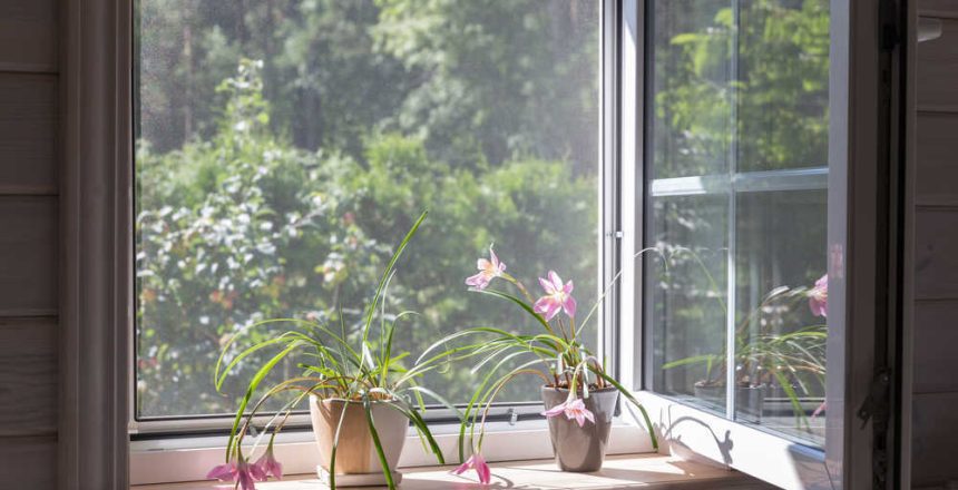 shutterstock_1924518206(FILEminimizer)