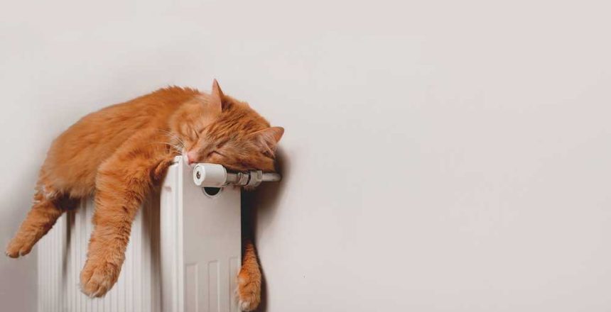 shutterstock_2072855741(FILEminimizer)