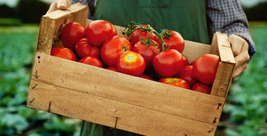 shutterstock_617668622(FILEminimizer)