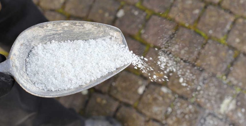 shutterstock_738398350(FILEminimizer)