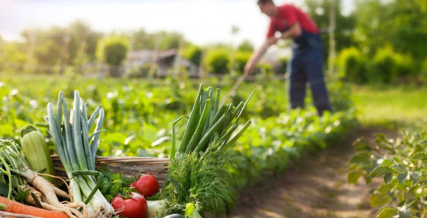 shutterstock_744799387(FILEminimizer)